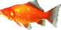Sladkovodní