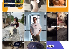 Adopce zvířat na instagramu @Hledaczvirat.cz