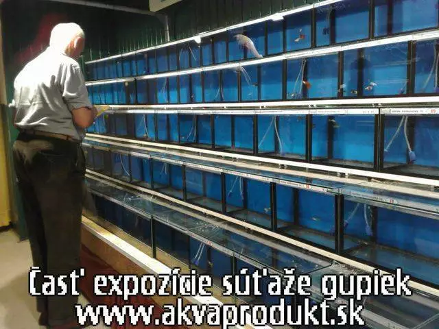 Fotka č. 2 k příspěvku 134142