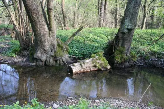 Fotka č. 2 k příspěvku 179038