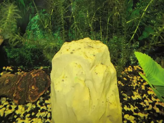 Fotka č. 1 k příspěvku 222357