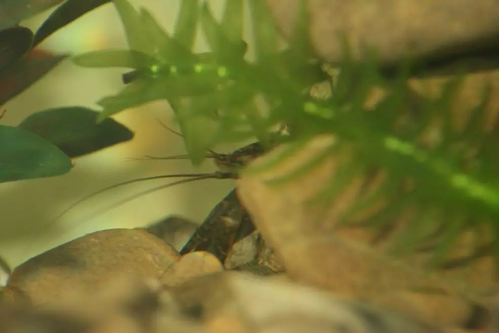 Fotka č. 1 k příspěvku 277772