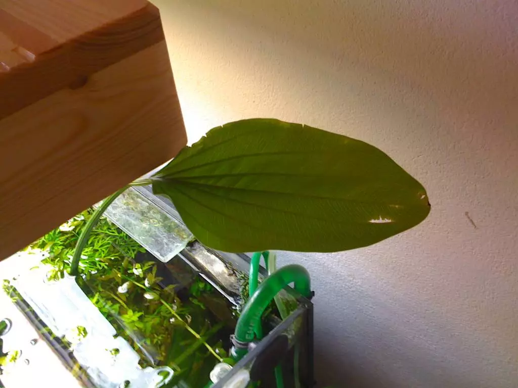 Fotka č. 1 k příspěvku 329051