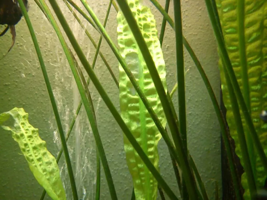 Fotka č. 1 k příspěvku 396746