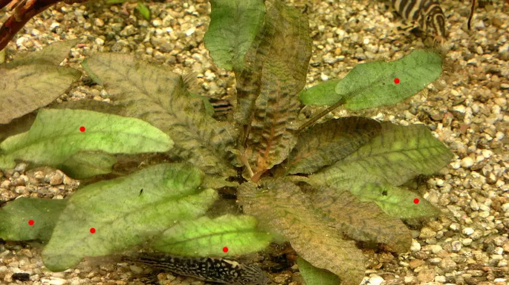 Fotka č. 1 k příspěvku 448848