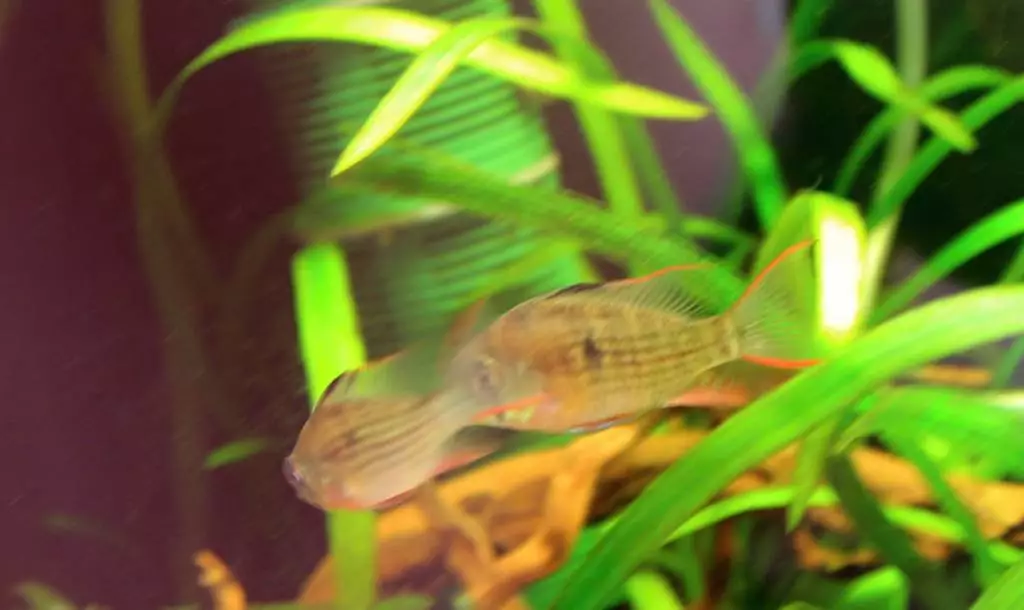 Fotka č. 2 k příspěvku 570954