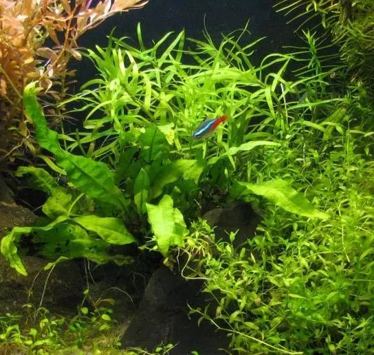 Fotka č. 3 k příspěvku 62202