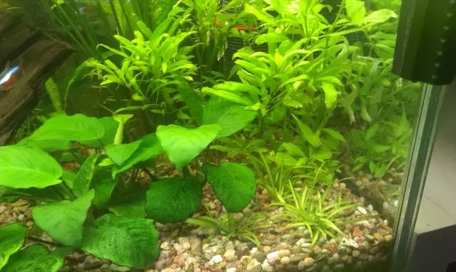 Fotka č. 4 k příspěvku 653066