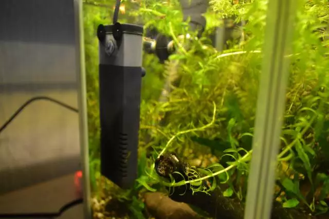 Fotka č. 2 k příspěvku 659196