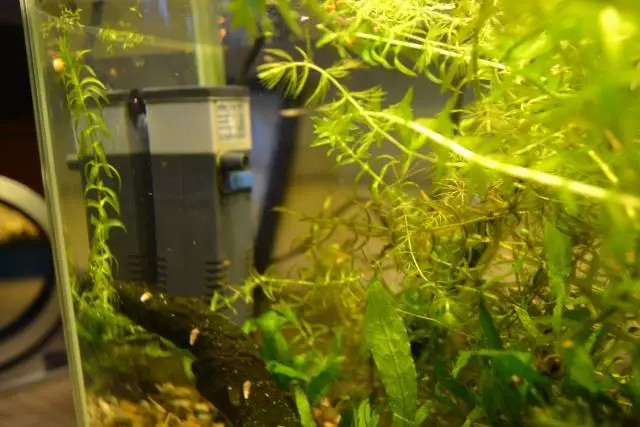 Fotka č. 3 k příspěvku 659196