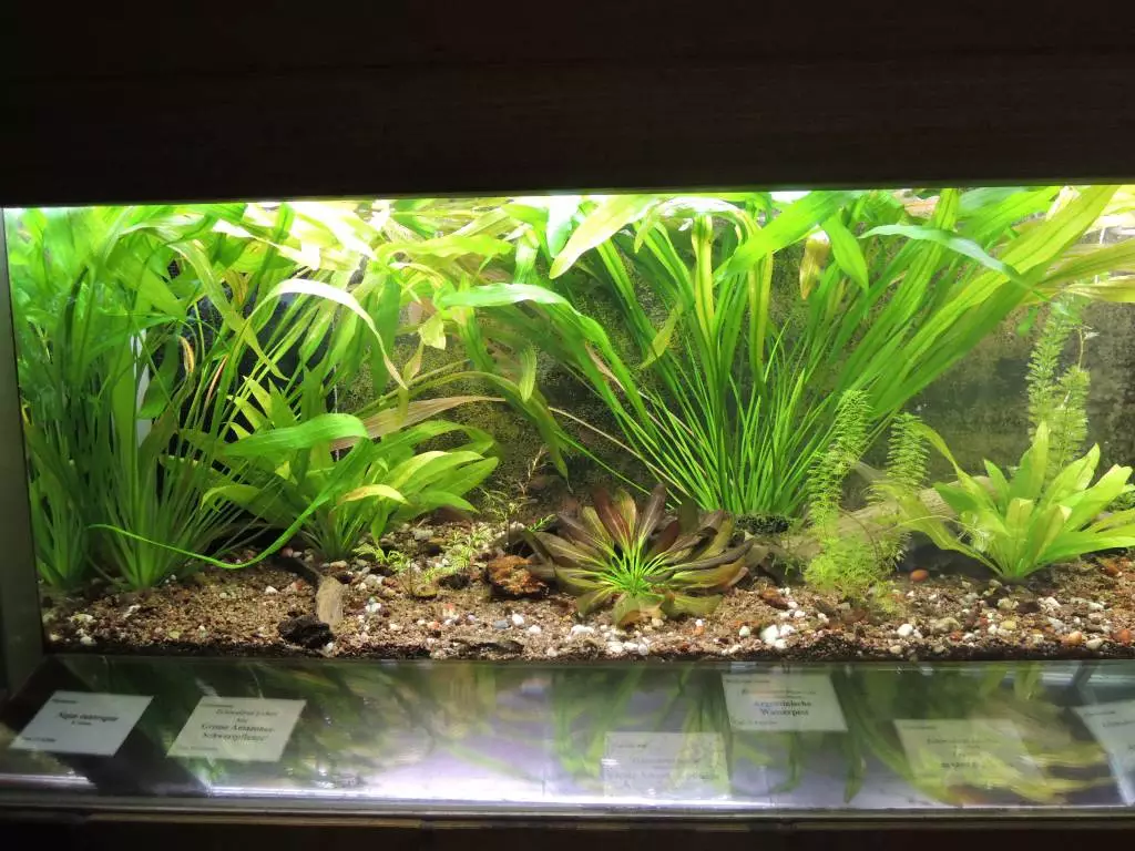 Fotka č. 1 k příspěvku 675021