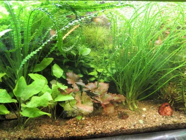 Fotka č. 4 k příspěvku 675021