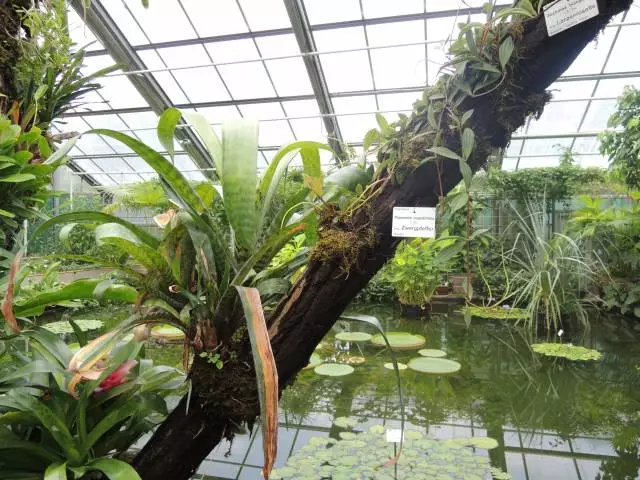 Fotka č. 5 k příspěvku 675021