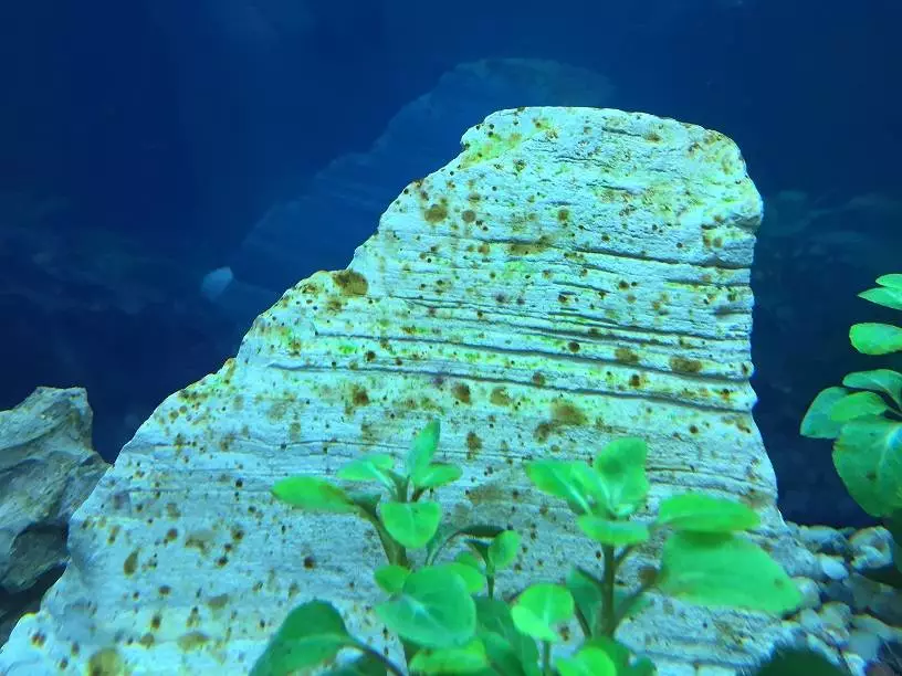 Fotka č. 1 k příspěvku 682705