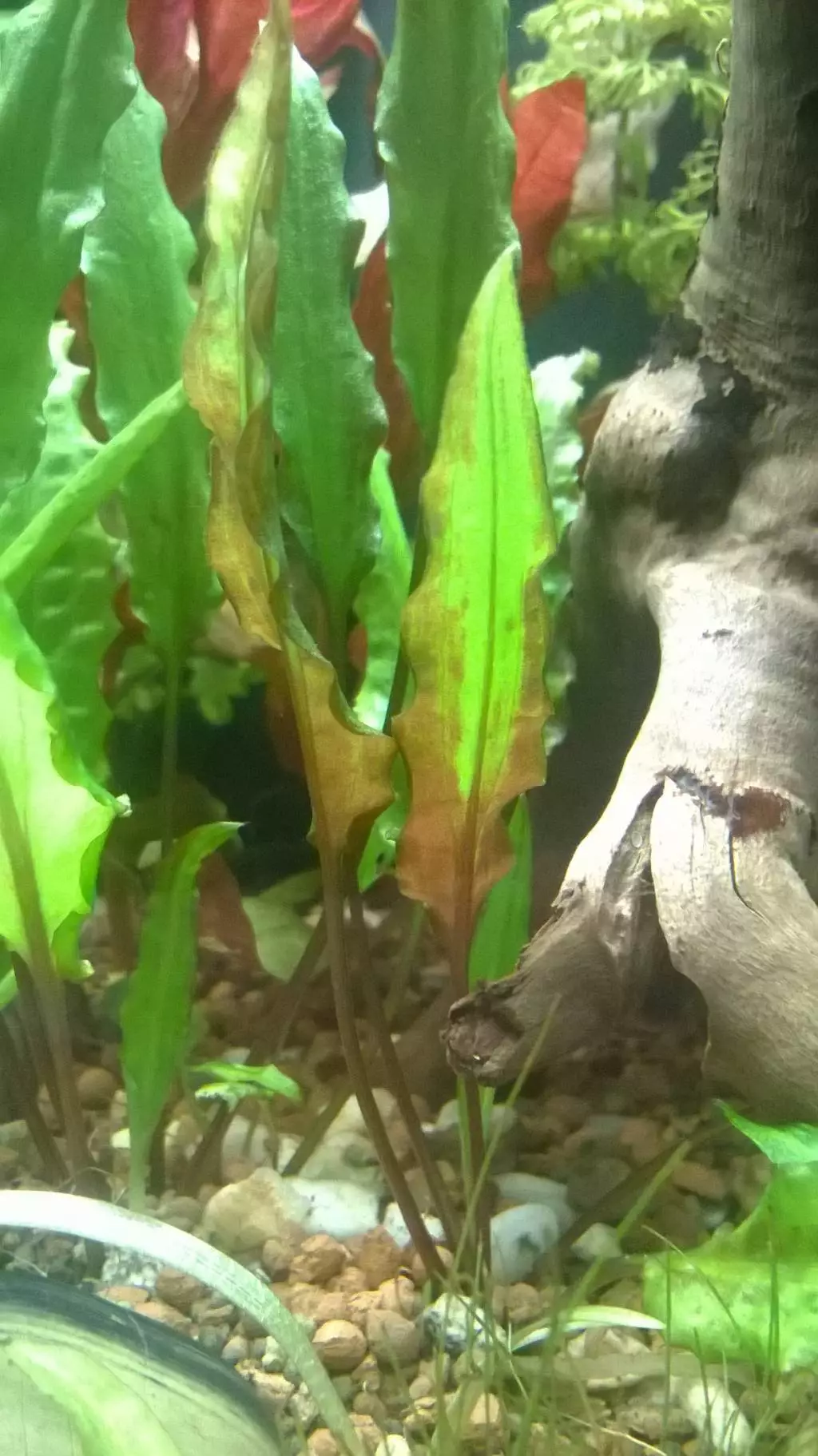 Fotka č. 1 k příspěvku 705380