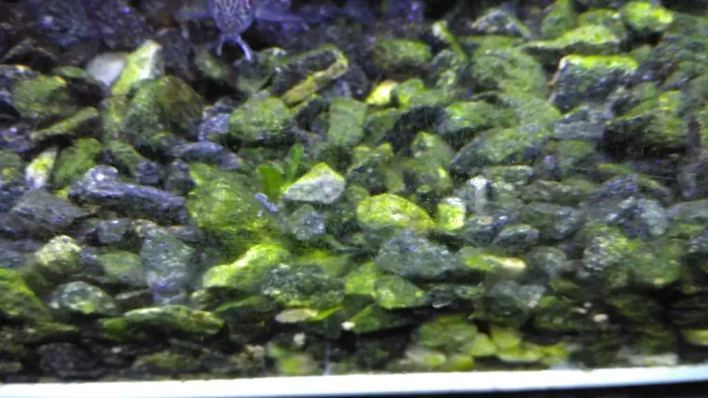 Fotka č. 1 k příspěvku 707997