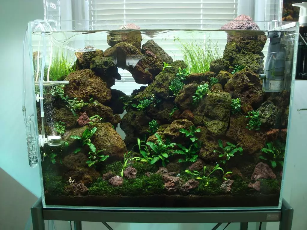 Fotka č. 1 k příspěvku 720935