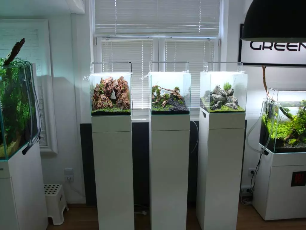 Fotka č. 2 k příspěvku 720935