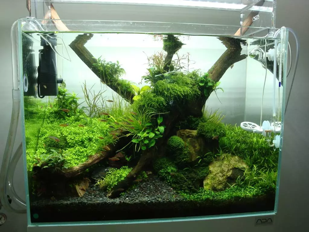 Fotka č. 3 k příspěvku 720935