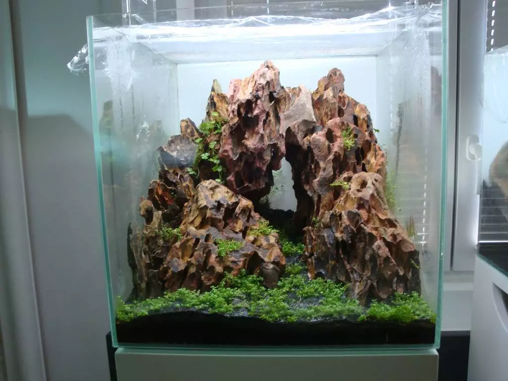 Fotka č. 4 k příspěvku 720935