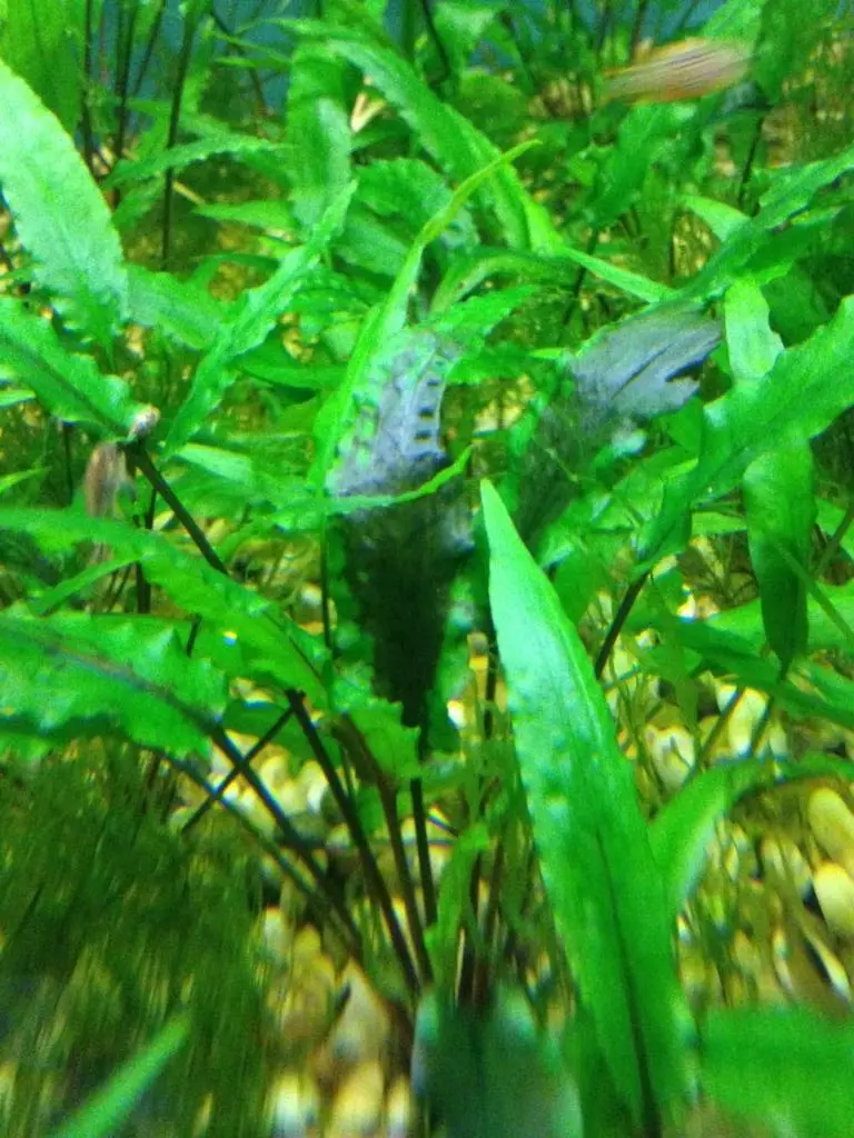 Fotka č. 1 k příspěvku 727049