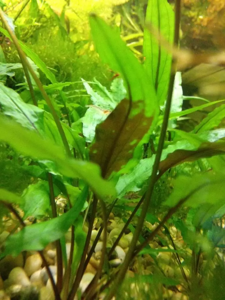 Fotka č. 3 k příspěvku 727049