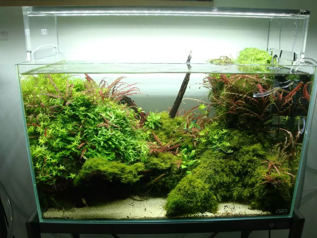 Fotka č. 2 k příspěvku 742418