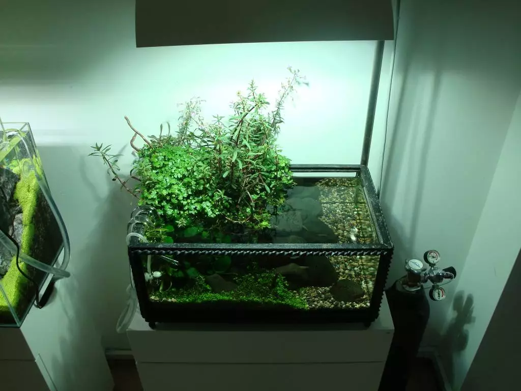 Fotka č. 3 k příspěvku 742418