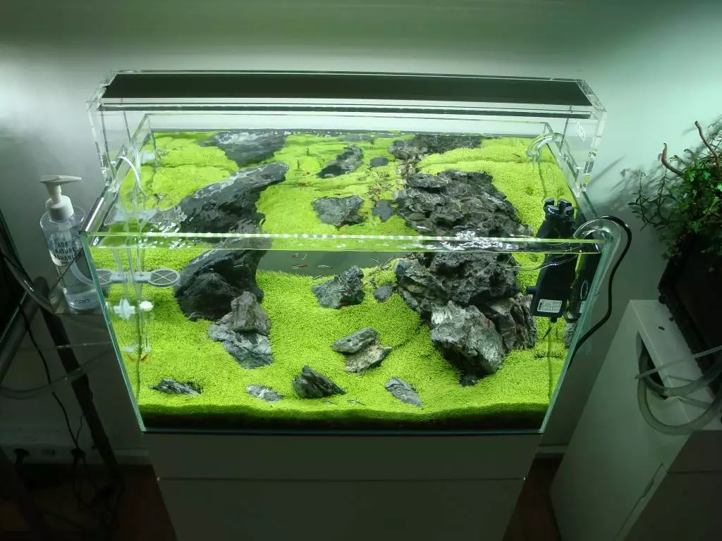 Fotka č. 4 k příspěvku 742418