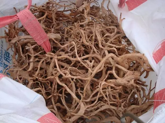 Fotka č. 2 k příspěvku 742579