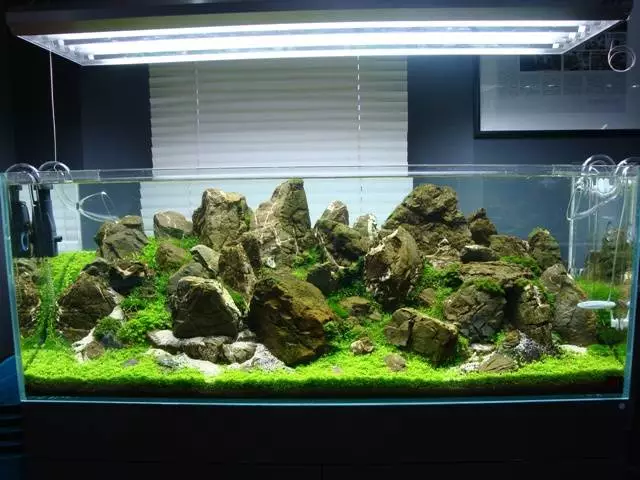 Fotka č. 1 k příspěvku 742580