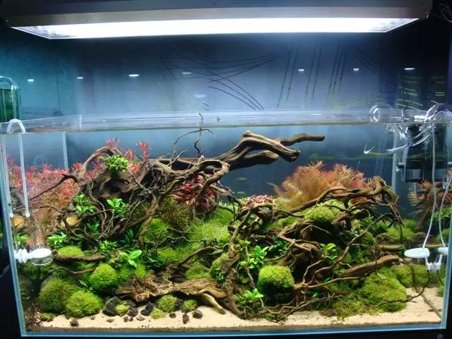 Fotka č. 2 k příspěvku 742580