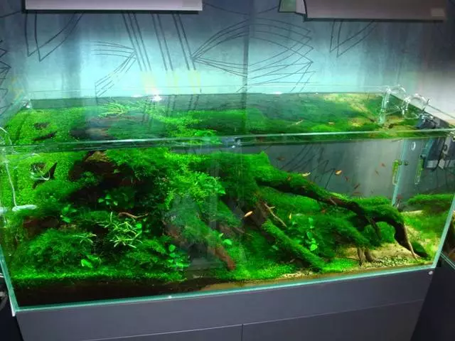 Fotka č. 3 k příspěvku 742580