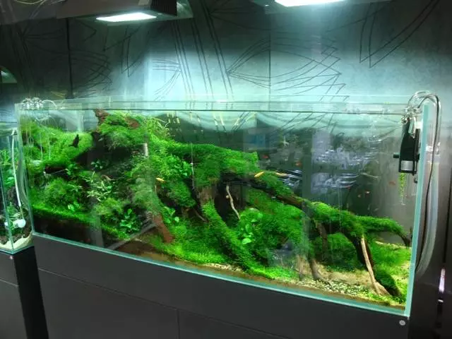 Fotka č. 4 k příspěvku 742580