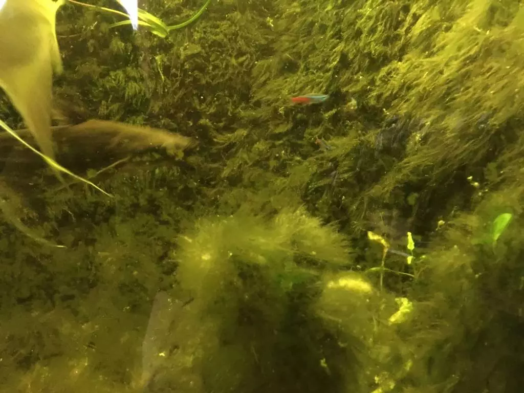 Fotka č. 2 k příspěvku 786017