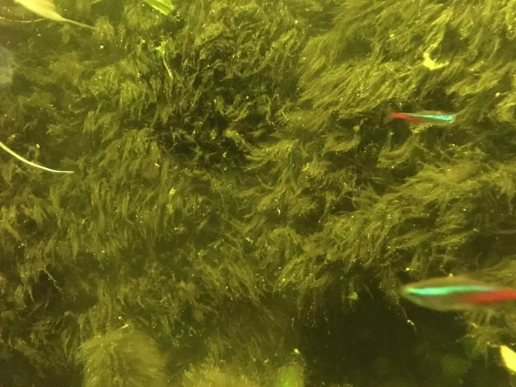 Fotka č. 3 k příspěvku 786017