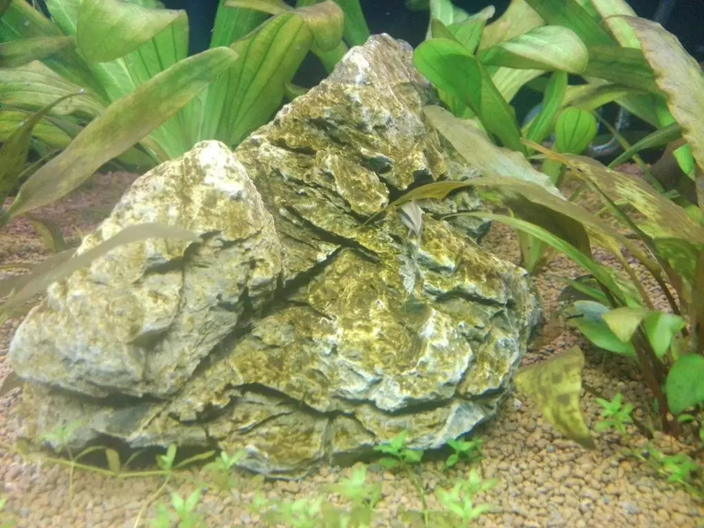 Fotka č. 1 k příspěvku 800987