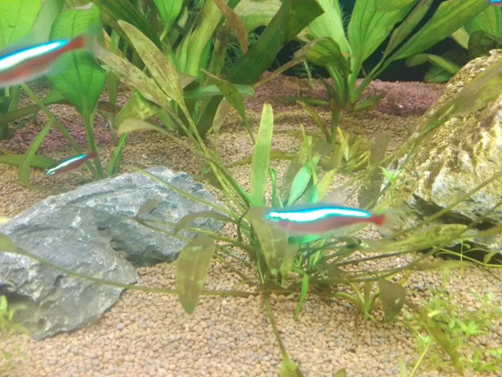 Fotka č. 2 k příspěvku 800987