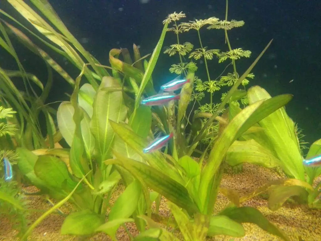 Fotka č. 3 k příspěvku 800987