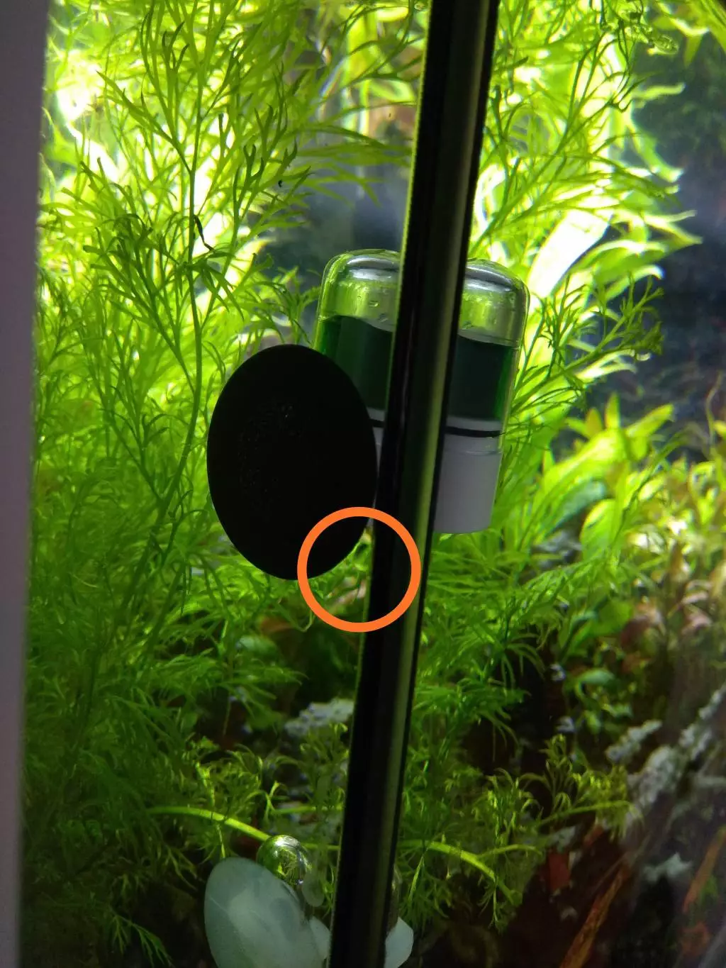 Fotka č. 1 k příspěvku 809209