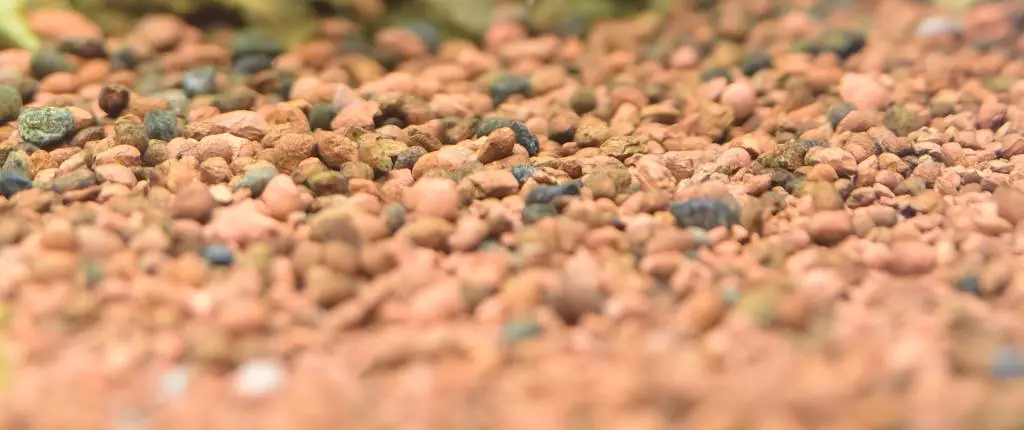 Fotka č. 1 k příspěvku 814261