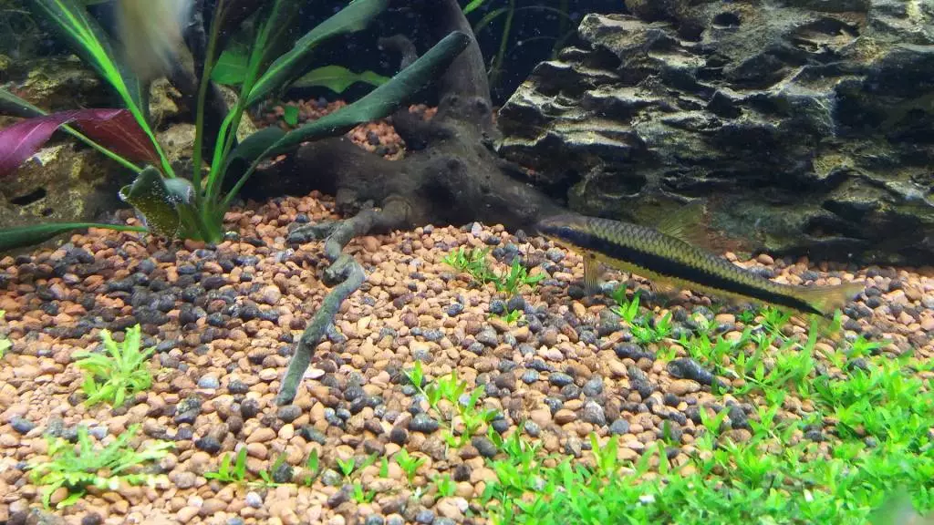 Fotka č. 1 k příspěvku 814269