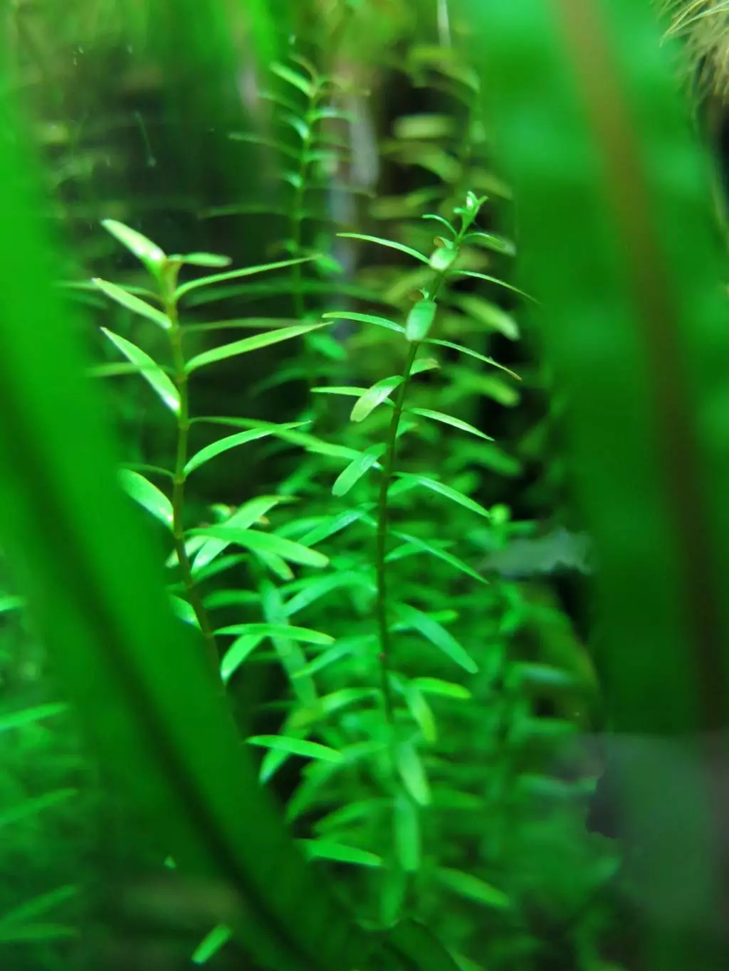 Fotka č. 1 k příspěvku 814277