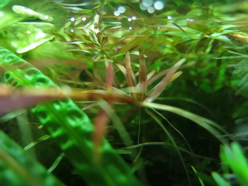 Fotka č. 2 k příspěvku 814277