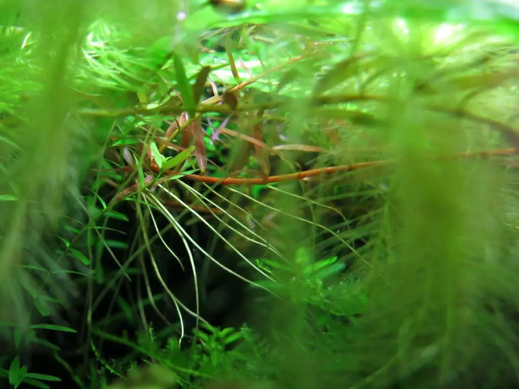 Fotka č. 3 k příspěvku 814277