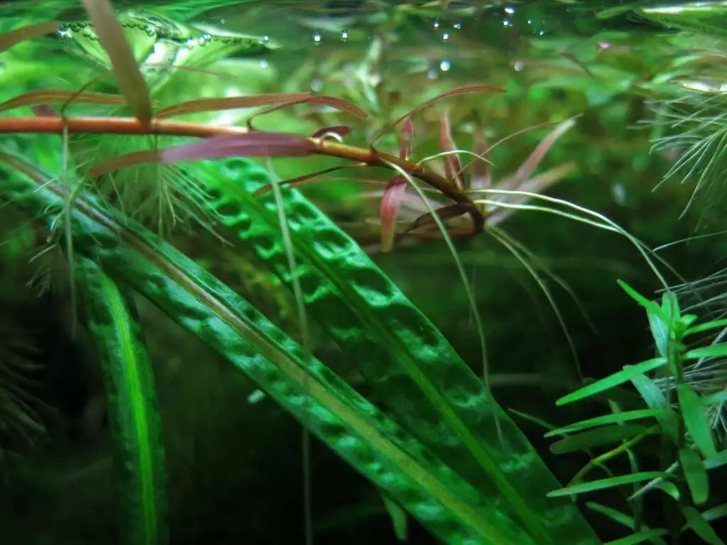 Fotka č. 4 k příspěvku 814277