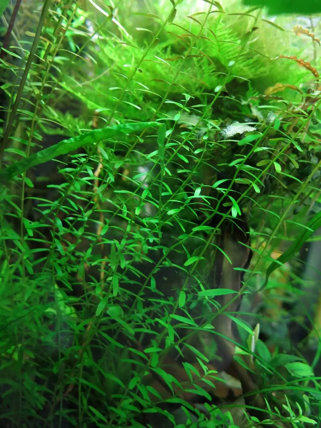 Fotka č. 5 k příspěvku 814277