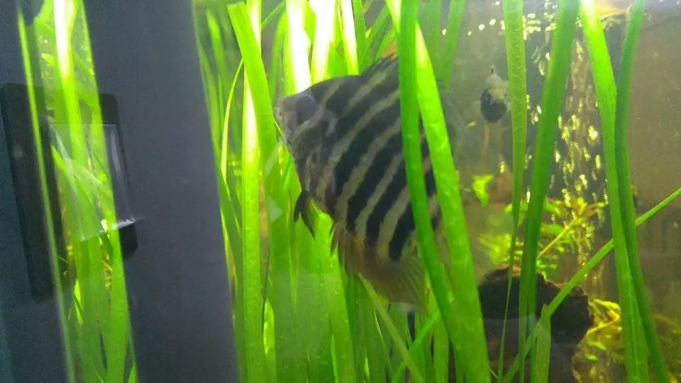 Fotka č. 3 k příspěvku 818278