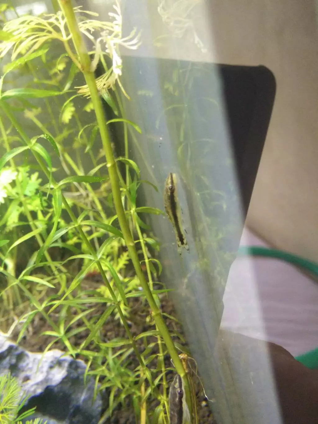 Fotka č. 2 k příspěvku 826177