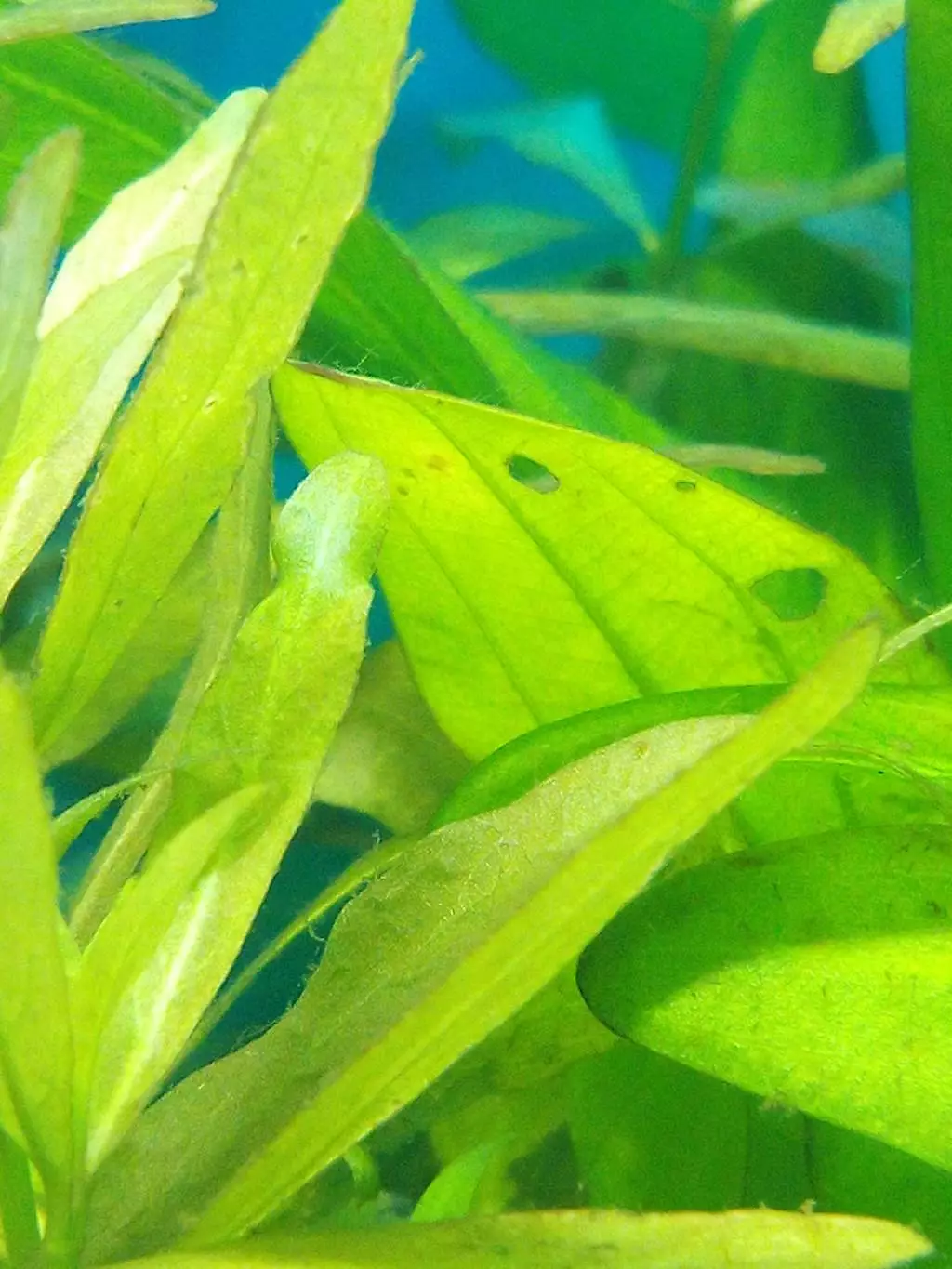 Fotka č. 1 k příspěvku 842206